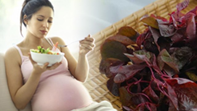 प्रेगनेंसी में लाल पालक खाना चाहिए या नहीं, Red Spinach Benefits During Pregnancy | Boldsky
