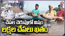 Hundreds Of Fishes Found Dead In Pond _ Kakinada _ V6 News (2)