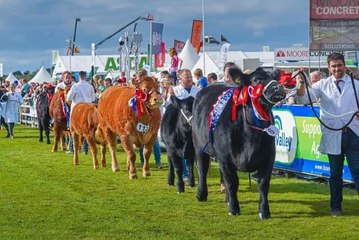 The wait is finally over! Balmoral Show gets underway today