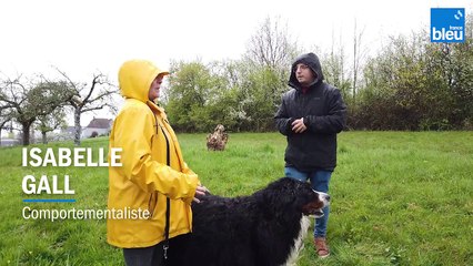 Education Canine avec Isabelle Gall 2/6