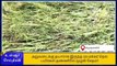 கிருஷ்ணகிரி: கனமழை-300 ஏக்கர் நெற்பயிர்கள் நீரில் மூழ்கி நாசம்