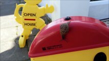 Snail pays a visit to Artists Open Houses in Brighton and Hove