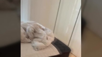 위조 문서로 9억7천만 원 대출받은 일당 검거 / YTN