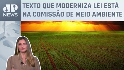 Kellen Severo: PL dos Defensivos atrasa no Senado