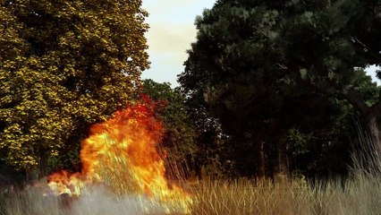 Fighting forest fires
