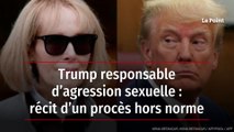 Trump responsable d’agression sexuelle : récit d’un procès hors norme