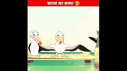 सारस और उसका बच्चा Cartoon | Cartoon animated story |   #dailymotion #cartoon