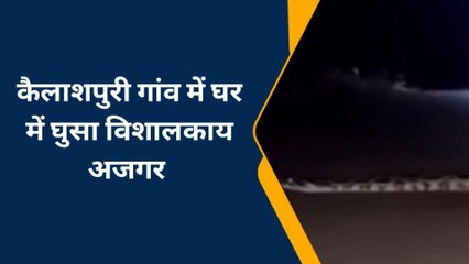 कैलाशपुरी गांव में घर के अंदर घुसा विशालकाय अजगर, ग्रामीणों में मचा हड़कंप