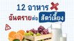 อาหาร 12 ชนิดที่ไม่ควรให้สัตว์เลี้ยงกิน