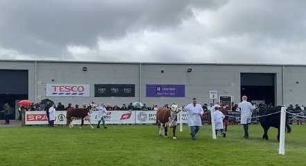 Out and about around this year's busy Balmoral Show with Farming Life