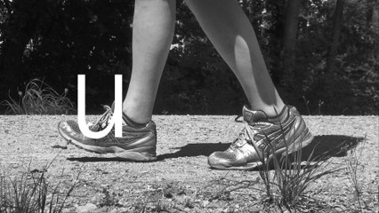 2018-08-28 (Trott) (Sydney Harbour Bridge) Hamish Fulton Edition