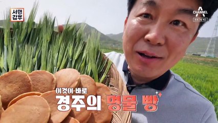 [예고] 연 매출 25억 원! 경주 명물 찰보리빵 맛의 비밀
