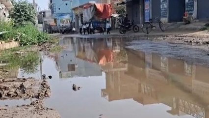 अलीगढ़: निकाय चुनाव में जलभराव की समस्या बनेगी चुनावी मुद्दा, देखें वीडियो