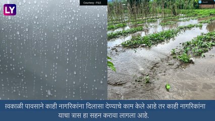 Unseasonal Rain: कोल्हापूरात सलग दोन दिवसापासून अवकाळी पाऊस, पेरणीपूर्व मशागतीच्या कामांना वेग