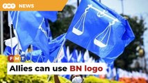 We’ll consider letting allies use BN logo, says Tok Mat