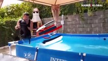 Havuzdan çıkmayan köpek ile sahibi arasındaki diyalog kahkahaya boğdu