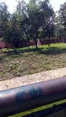 Kananpendari Zoo delighted to see