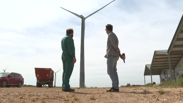 Conejos carnívoros supuestamente por el ruido de un aerogenerador