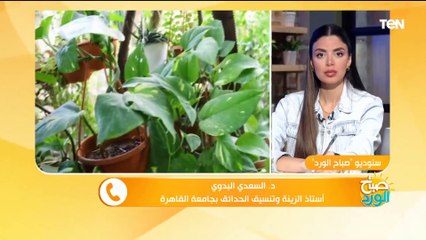 لقاء مع المنشد محمد السيد .. وحكايات الشيخ الطبلاوي |صباح الورد