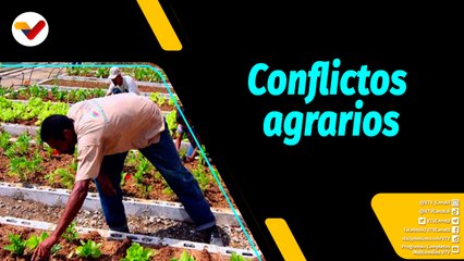 Al Aire | Subcomisión de Economía Agraria de la AN recibió 26 denuncias del Sur del Lago