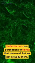 Understanding Hallucinations: Causes, Types & Support in 2023 🧠