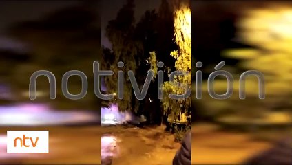 [Video] Un rayo impactó en una palmera y está ardió en llamas