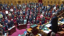 L'hommage du Sénat au journaliste de l'AFP tué en Ukraine et aux victimes de l'attaque de Djerba