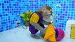 Baby Monkey KiKi wash clothes in the toilet and play by the pool with ducklings _ KUDO ANIMAL KIKI