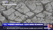 Pyrénées-Orientales: des restrictions pour faire face à une sécheresse historique