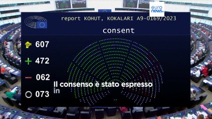 Il Parlamento europeo approva la ratifica della Convenzione di Istanbul