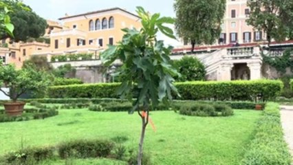 Paco Cao planta en Roma su arte botánico sobre la integración de los migrantes