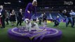 Buddy Holly the Petit Basset Griffon Vendéen Wins Best in Show at the 2023 Westminster Dog Show