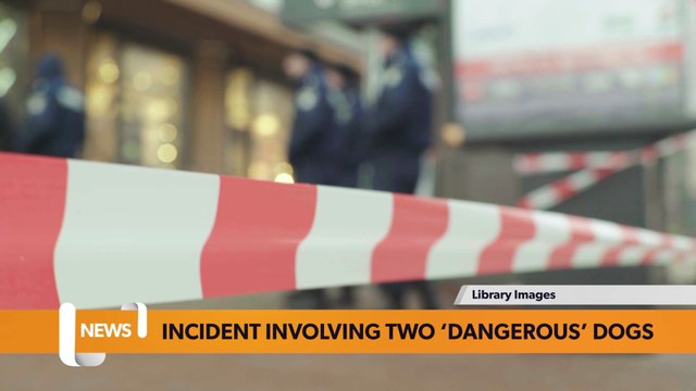 London headlines 10 May: Incident involving two ‘dangerous’ dogs