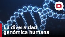 Pangenoma: publican la colección más completa y sofisticada de la diversidad genómica humana