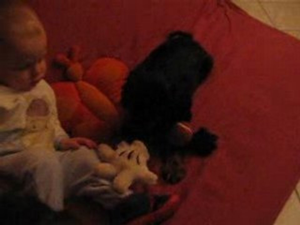 kimi cleo et le jouet