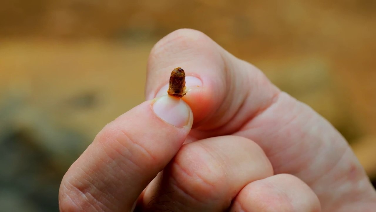 The Amish of Asia!! Indonesia’s Tech-Hating Baduy Tribe!!
