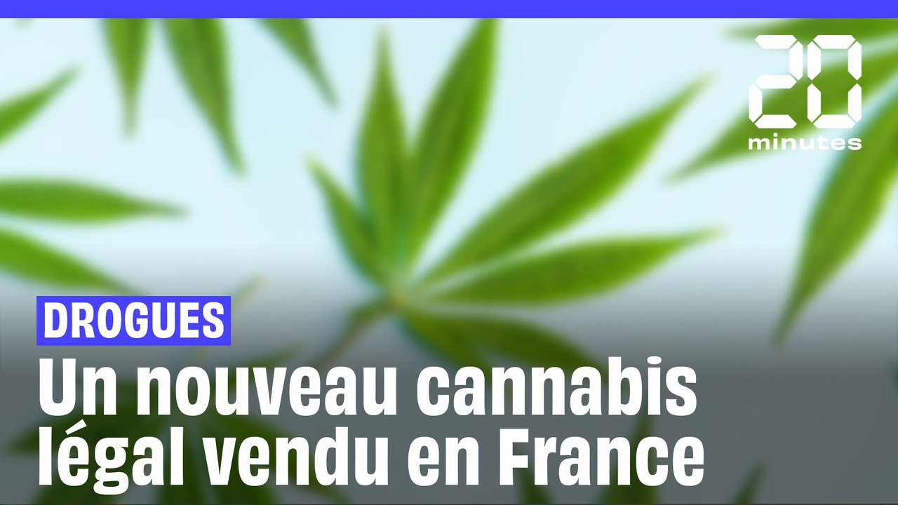 Cannabis : C'est quoi le HHC, le nouveau cannab...