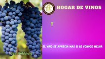 Conoce todo sobre la uva Nebbiolo: la reina de las uvas italianas