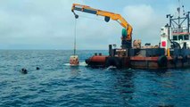 Colocación de biotopos en el fondo marino del puerto de Torredembarra.