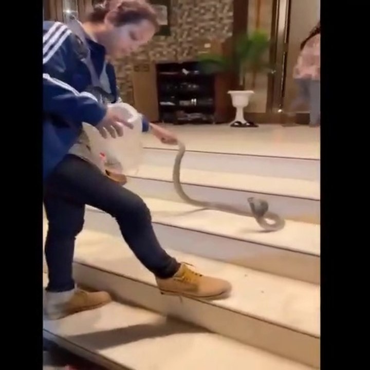 she caught a gentle snake you should not follow
