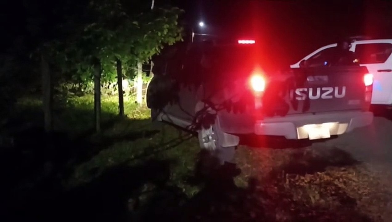 MUERTO POCOCI