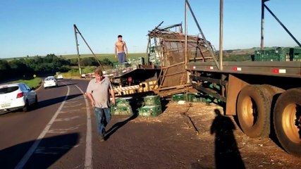 Carreta carregada com frangos vivos tomba na BR-467