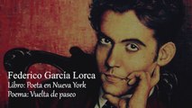 5. VUELTA DE PASEO - FEDERICO GARCÍA LORCA (POETA EN NUEVA YORK) / (POESÍA MIXTA PARTE 1)