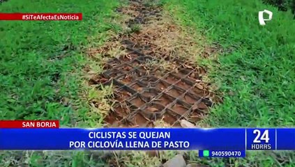 San Borja: denuncian ciclovía llena de pasto en el distrito
