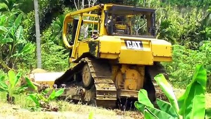 D6R XL Bulldozer Transforms Landscape to Create a New Road