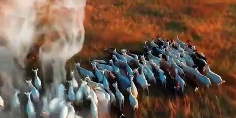 Who was Hazrat Yaqub (as) حضرت یعقوب علیہ السلام کون تھے؟