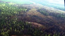 Seca e calor alimentam incêndios florestais sem precedentes no Canadá