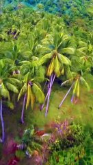 I got lost in EL NIDO PHILIPPINES  and found PARADISE Drone