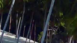 7 Commandos Beach EL NIDO PHILIPPINES   Drone Video EL NIDO Tour A