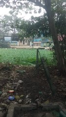 Cute girl drive Cycle